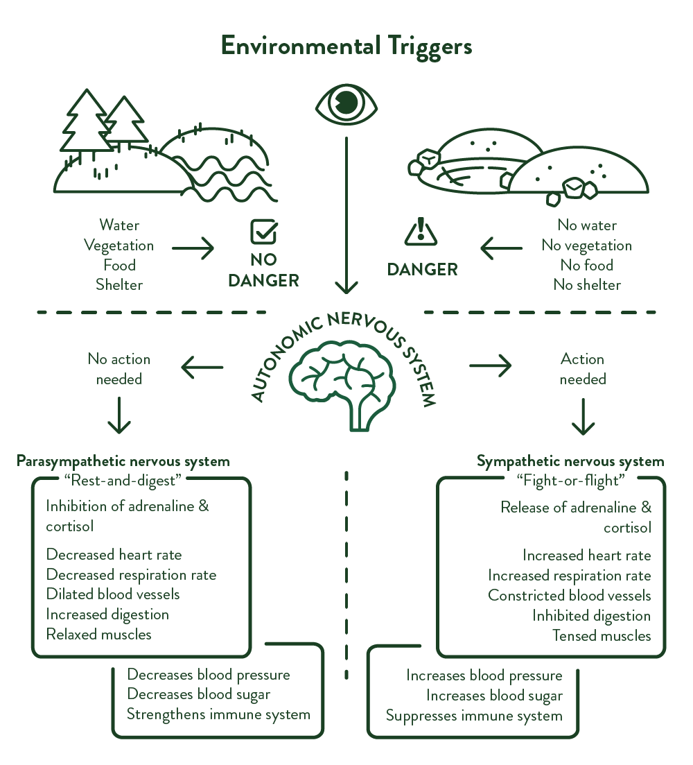 biophilia hypothesis pdf